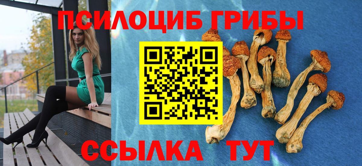 Псилоцибиновые грибы MAGIC MUSHROOMS  Псилоцибиновые грибы Psilocybine cubensis  Грязи  Вход с VPN 