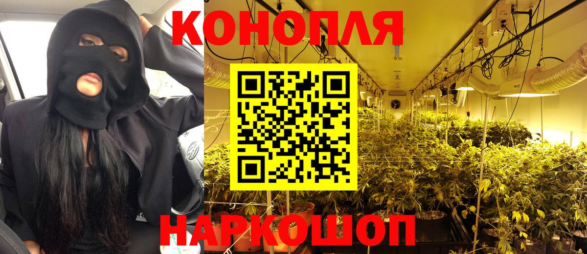 Грязи  Марихуана план  Вход с VPN  Бошки марихуана индика 